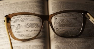La Bnf lance le service PLATON