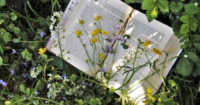 La quatrième de couverture : l’atout pour vendre votre livre - voici comment y arriver